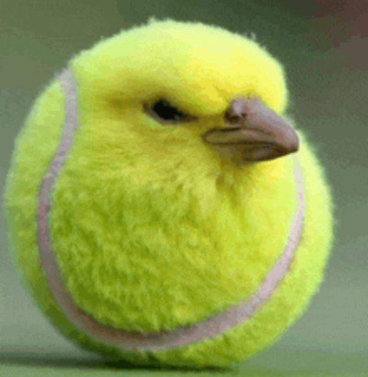 tennis chick